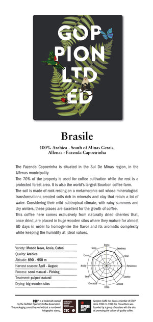 Goppion Limited Edition - Brasile - Coffee Beans 500g